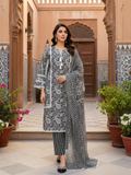 NOOR PAISLEY PURE COTTON PAKISTANI SUIT SET